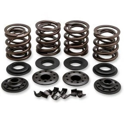 Kibblewhite 20-20850 Complete Valve Spring Kit