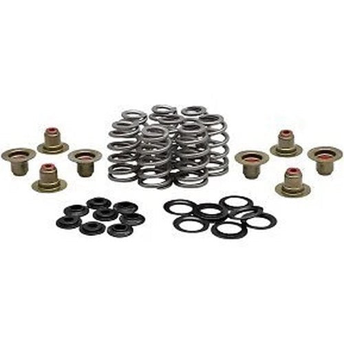 Kibblewhite 20-21850 Beehive Valve Spring Kit .625" lift for M8 17-22