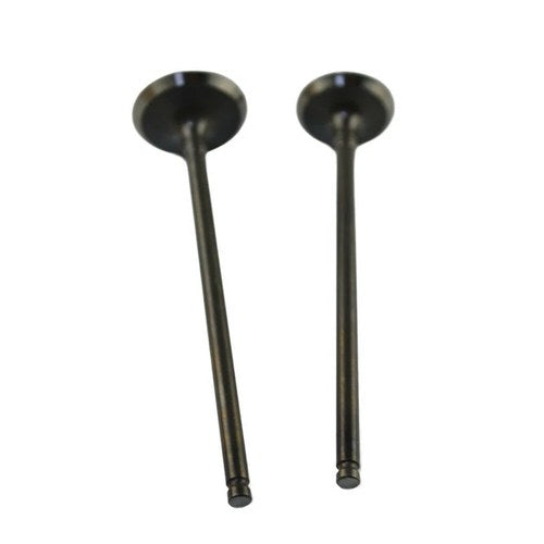 Intake & Exhaust Valves For Kawasaki KLX300 R 1996-2007 KLX250 R/S/SF 1992-2015
