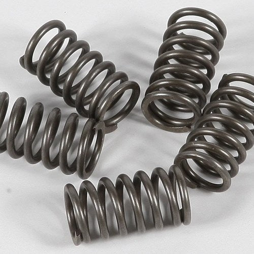 Ebc Csk Clutch Spring Kit CSK118