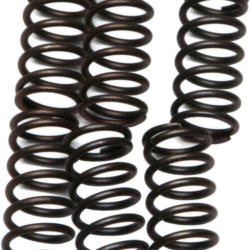 Ebc Csk Clutch Spring Set (CSK38)