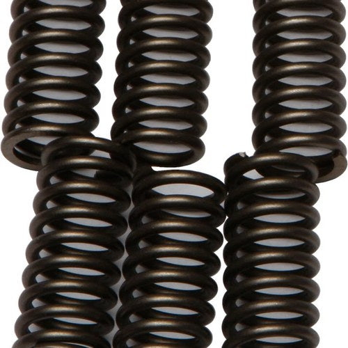 Ebc Csk Clutch Spring Set (CSK102)
