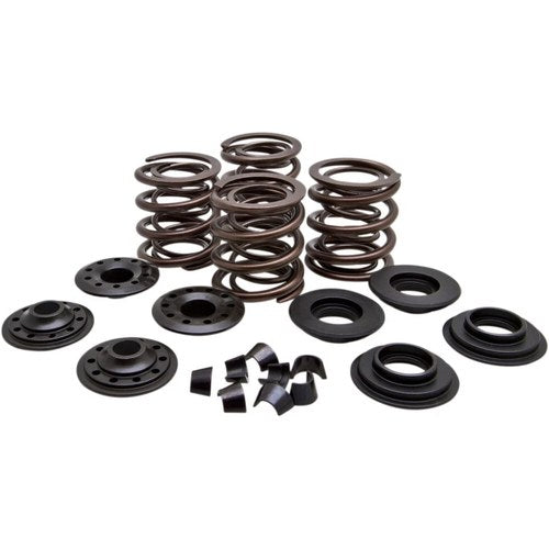 Kibblewhite Valve Spring Kit | 20-20450