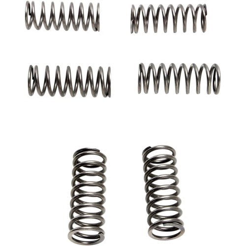 Ebc Clutch Springs - 6 pcs. | CSK198
