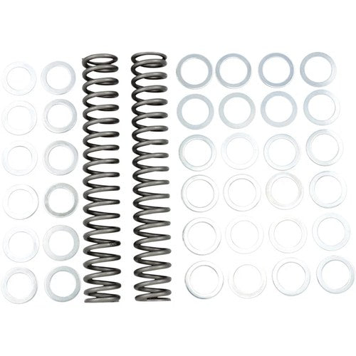 Race Tech Fork Springs - 1.20 kg/mm | Frsp S3825120