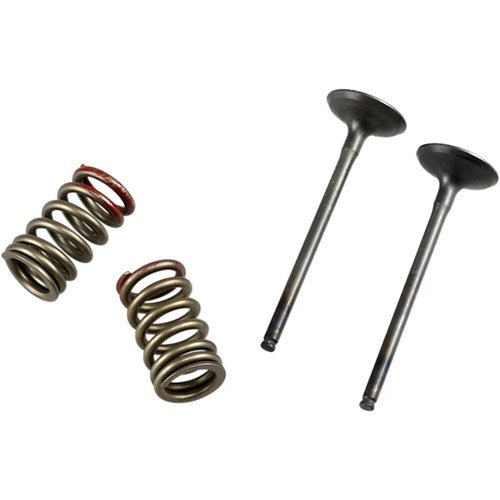Prox Valve and Spring Kit | 28.SES4335-1