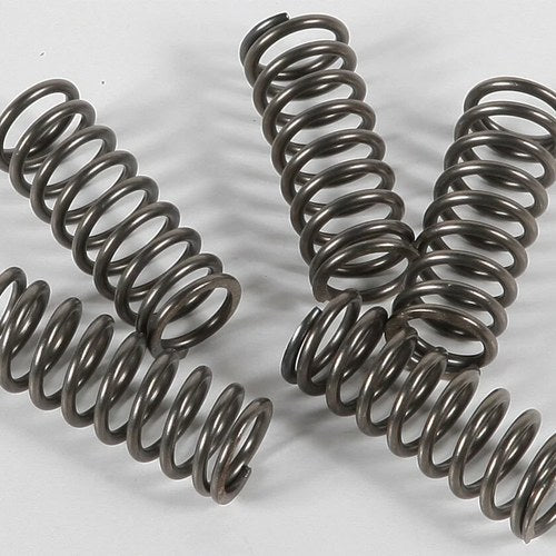 Ebc Csk Clutch Spring Kit | CSK156