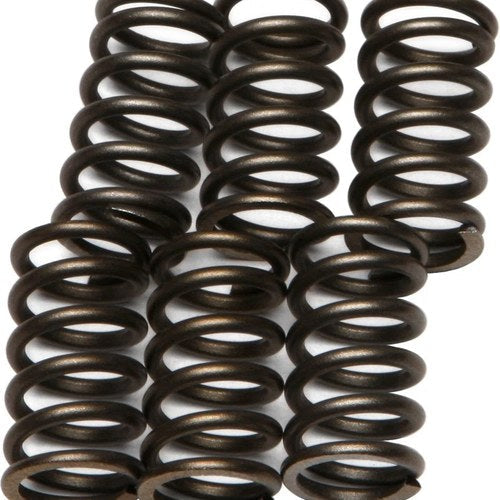 Ebc Csk Clutch Spring Kit CSK10