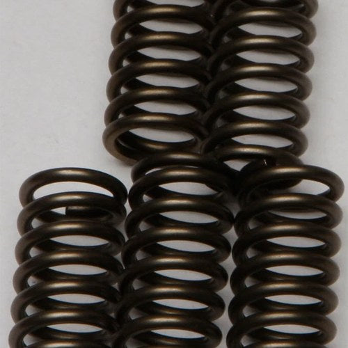 Ebc Csk Clutch Spring Set (CSK137)