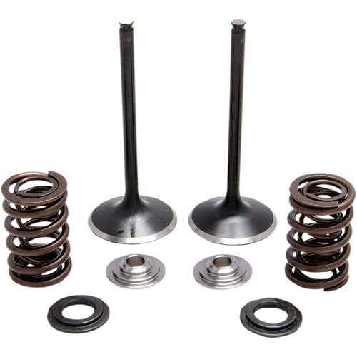 Kibblewhite Intake Spring Kit | 30-33200
