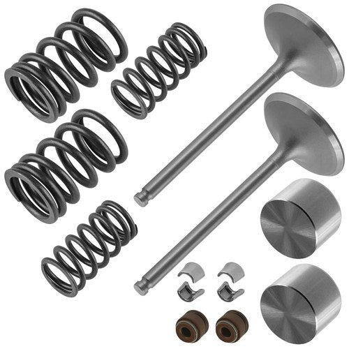Intake Valve Kit for Suzuki DRZ400E 2000 2001 2002 2003 2004 2005 2006 2007