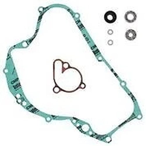 Vertex Water Pump Rebuild Kit | 821549