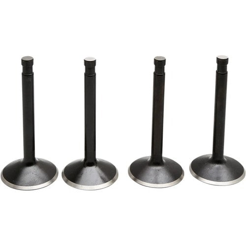 Kibblewhite Valve Kit - Panhead | 20-22100