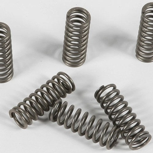 Ebc Csk Clutch Spring Kit | CSK90