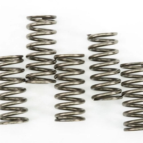 Ebc Csk Clutch Spring Kit | CSK237