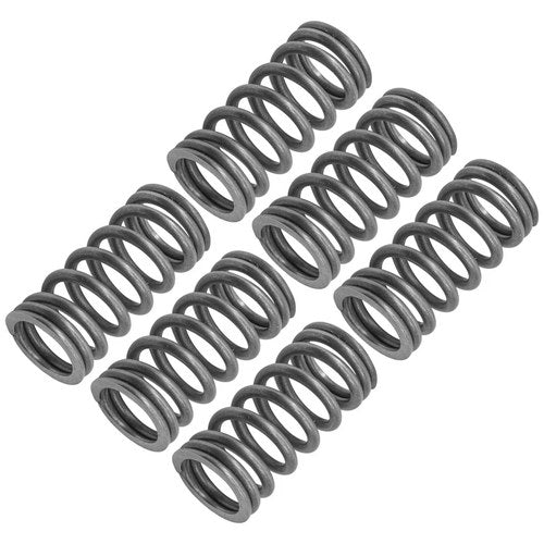 Clutch Spring for Kawasaki Ninja H2 ZX1000 2015 92145-1662 921451662 6x