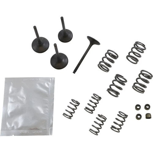 Wiseco Valve Kit | SVKB4409