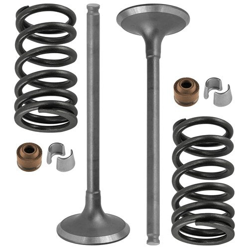 14721-KRN-A10 14761-KRN-A11 12208-ML0-721 Engine Exhaust Valve Kit For Honda