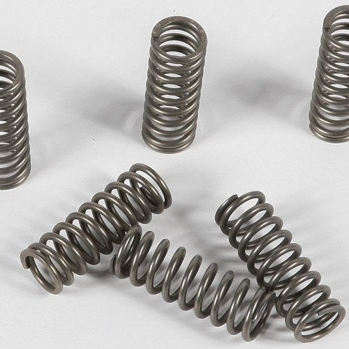 Ebc Csk Clutch Spring Kit CSK90