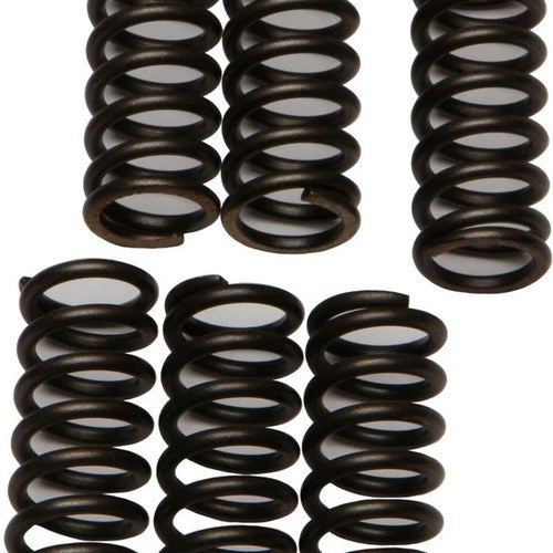 Ebc Csk Clutch Spring Kit CSK28