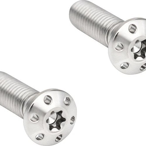 Arlen Ness Brake Caliper Mounting Bolts Silver 2-Pack #300-917 Harley Davidson