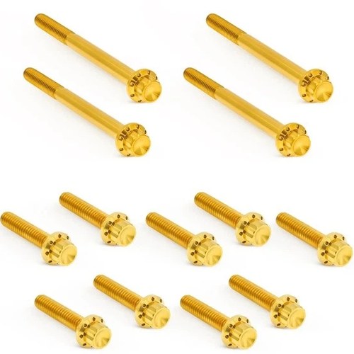 Arlen Ness Titanium Primary Cover Bolt Kit Gold #300-928 Harley Davidson