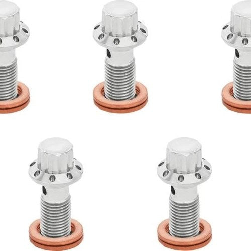 Arlen Ness Titanium Banjo Bolts M10x1.25 Front/Rear Silver 5-Pack #300-860