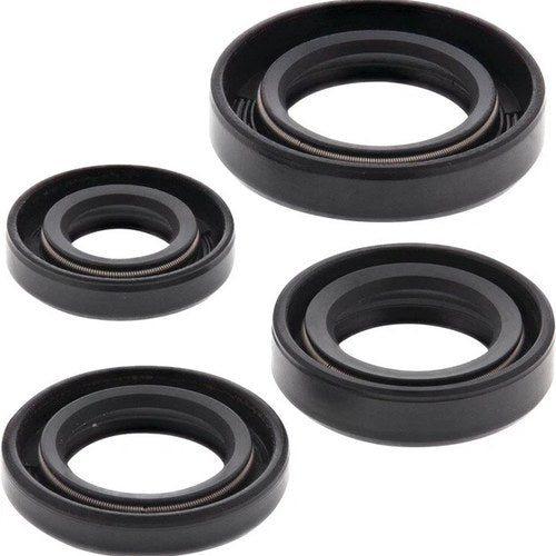 Moose Oil Seal Kit #293060 for Honda XR100R/CRF100F