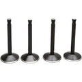 Kibblewhite 20-22100 Engine Valve Kit- Panhead
