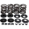 Kibblewhite 20-2210 Complete Valve Spring Kit .480" Lift for 57-83 XL