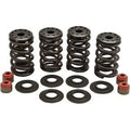 Kibblewhite 20-20364 Valve Spring Kit .600" Lift 04-22 Sportster 05-17 Twin Cam