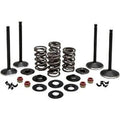 Kibblewhite 20-22650 Engine Kit Complete Valve Kit for Evo Harley 84-98