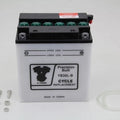 V-Twin 53-0556 Deka 12 Volt Battery Dry