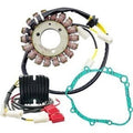Rick'S Motorsport Electric 99-300 Charging Kit- Suzuki