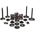 Kibblewhite 20-22350 Engine Kit Complete Valve Kit