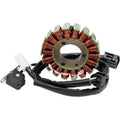 Rick'S Motorsport Electric 21-808HStator for Suzuki