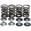 Kibblewhite 60-60045 Valve Spring Kit