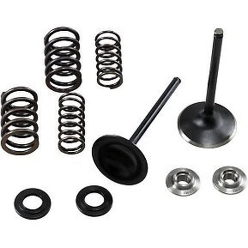 Kibblewhite 30-33250 Stainless Steel Conversion Valve and Spring Kit
