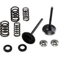 Kibblewhite 30-33250 Stainless Steel Conversion Valve and Spring Kit