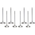 Kibblewhite 20-23300 Engine Valve Kit- M8