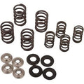 Kibblewhite 30-30077 Valve Spring Kit