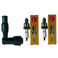2) Spark Plug + Cap For Honda NSF100 Nsf 100 NSF-100 Bike Youth Sparkplug New
