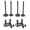 2*Intake 2*Exhaust Valves & Stem Guide Seal Kit For Kawasaki KXF250 KX250F 04-16