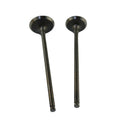 Intake & Exhaust Valves For Kawasaki KLX300 R 1996-2007 KLX250 R/S/SF 1992-2015