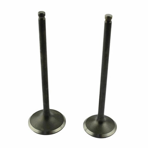 Intake & Exhaust Valves For Suzuki Burgman 400 AN400 1999-2006 DR350 1990-1999