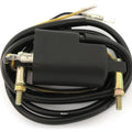 Universal 4 Ohm 12 V Dual Output Ignition Coil Kawasaki KZ400 KZ650 KZ900 KZ1000