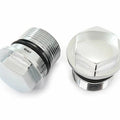 Set of 2 Chrome Fork Tube Bolts - 35mm - 90123-300-000 - CR/MT/XL250 XL350 CB450