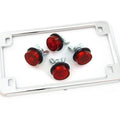 Chrome Motorcycle License Plate Frame w/ 4 Red Reflector Bolts Set