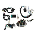 CDI Wire Harness Stator Assembly Wiring Kit For 50 70 90 110 125cc ATV Quad
