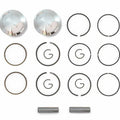 2 Piston Kits - Oversize 0.25mm - Honda CB/CL/SL350 Twins - Rings Clips & Pins